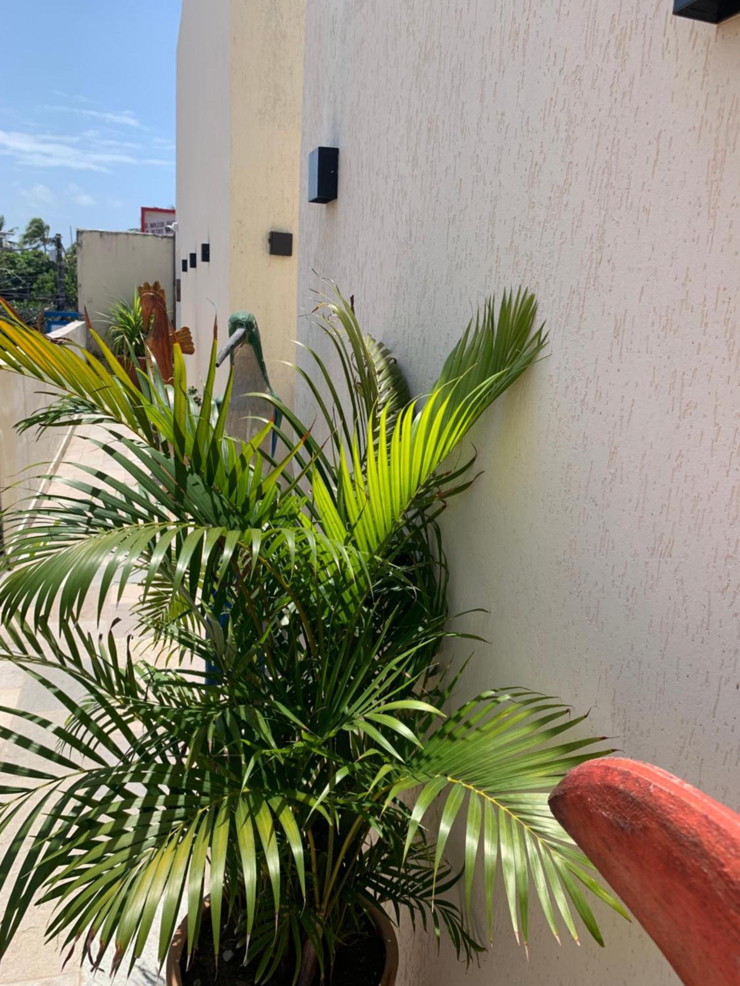 Pôrto das Galinhas Villa Peixe Na Telha מראה חיצוני תמונה