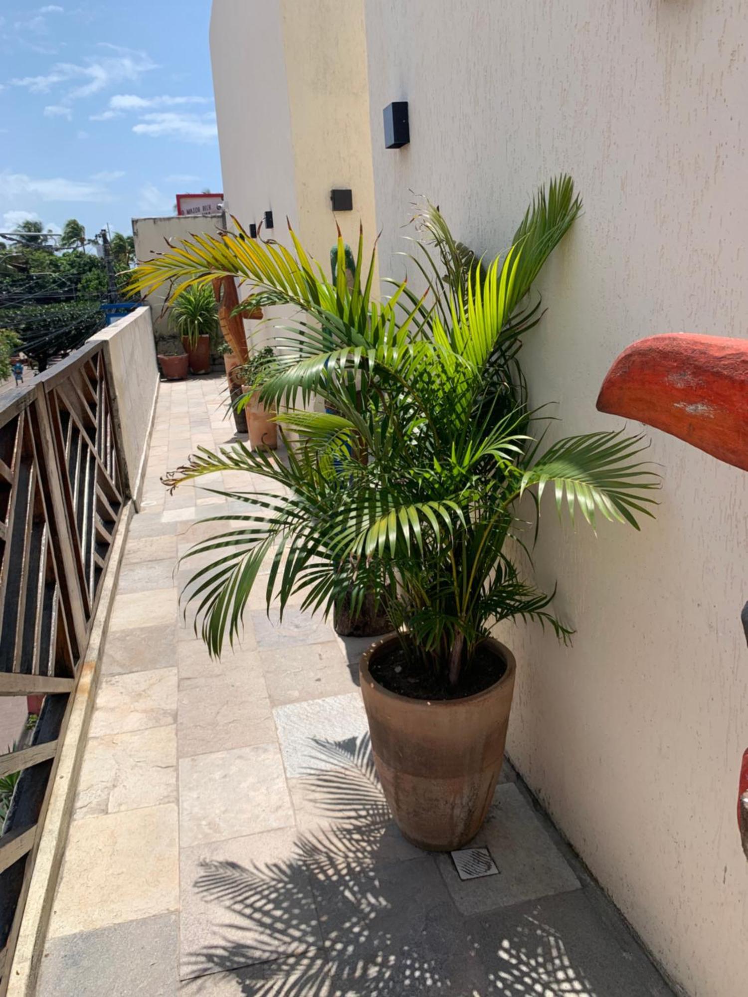 Pôrto das Galinhas Villa Peixe Na Telha מראה חיצוני תמונה